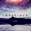 Invisible cover