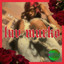 Luv Murko cover