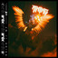 MF cover