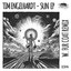 Sun - Fur Coat Remix