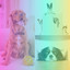Astounding Backdrop for Resless Doggy cover