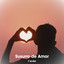 Volar cover