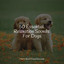 50 Essential Relaxation Sounds For Dogs cover