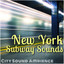 Early Morning Subway Car, Sounds and Ambience cover