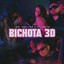 Bichota 3D cover