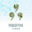 zZz Perceptive Curing Rain Melodies zZz cover