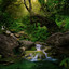 Nature Yami & Vedic Moon — Piano & Birds at Creek cover art