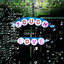 Bugs - Tough Love