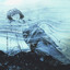 Frostbite cover