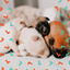 (Chillout) Music for Resting Doggies cover
