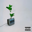 Bops. cover art