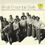 Amati-Ensemble - Stravinsky: Concerto in D for String Orchestra, K75: III. Rondo. Allegro