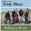 IRISH STEW