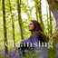 Cleansing Your Space: Protect Yourself from Negative Energy cover
