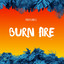 Burn Fire cover
