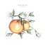 orangerie cover
