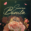 Vida Bonita - Alewana - (Single)