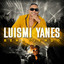LUISMI YANES - EL GATO BAJO LA LLUVIA - 2025