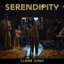 Serendipity cover
