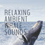 Relaxing Ambient Whale Sounds cover