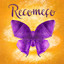 Recomeço cover