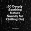 50 Deeply Soothing Nature Sounds for Chilling Out cover