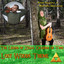 Lost Woods Theme (From "Legend of Zelda: Ocarina of Time") cover