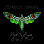 Cowboy Junkies - Hard to build. Easy to break