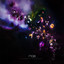 Multisensory Aesthetic Experience cover