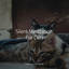 Silent Meditation For Cats cover