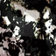 Back Out cover