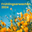 Frühlingserwachen 2024 cover