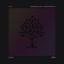 Passenger - Ampish Remix