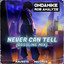 Never Can Tell - Bassline Mix