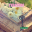 Unknown Title cover