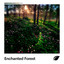 Enchanted Forest cover
