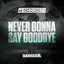 Never Gonna Say Goodbye - Extended Mix