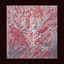 Sapovnela cover