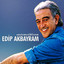 Unutamadıklarım cover