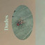 Dudes cover