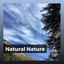 Natural Nature cover