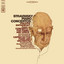 Stravinsky: Piano Concertos cover