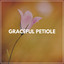 Graceful Petiole cover