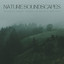 Nature Soundscapes: Peaceful Forest Sounds To Relax & Meditate cover