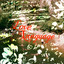 TiBi - Love Language