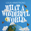 It's Wonderful - Single Version