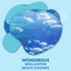 Wonderous Wollaston Beach Sounds cover