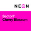 Cherry Blossom - Extended Mix