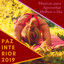 Paz Interior 2019 - Músicas para Aproveitar Melhor o Dia, Vibrações Positivas Praticando Yoga cover