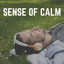 Sense of Calm cover